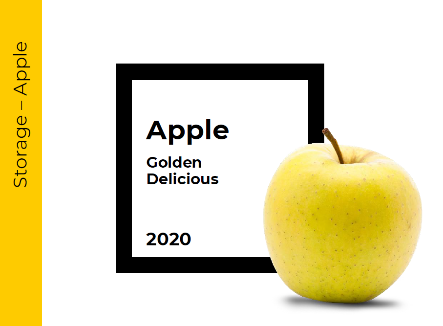 Storage Golden Delicious Apple