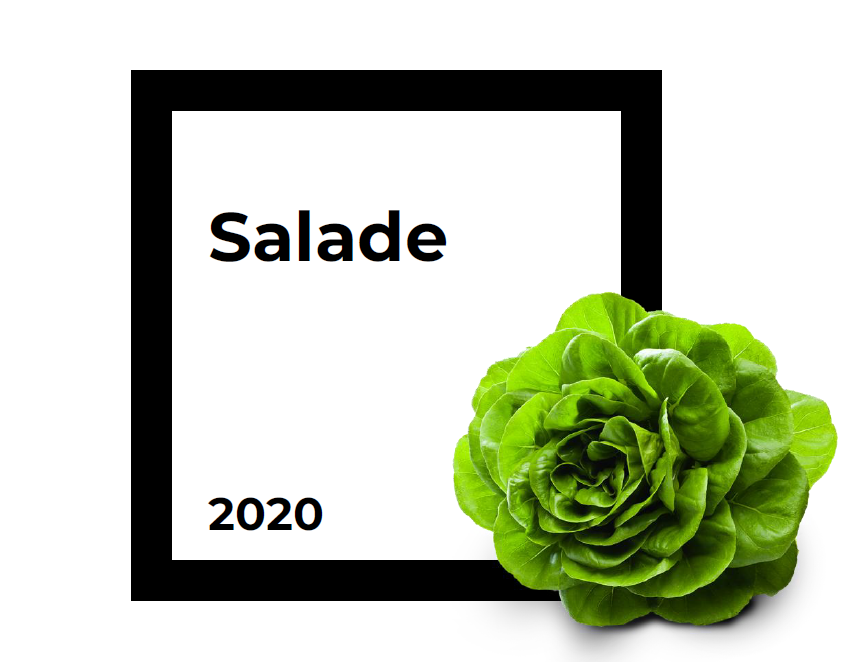 Conservation Salade