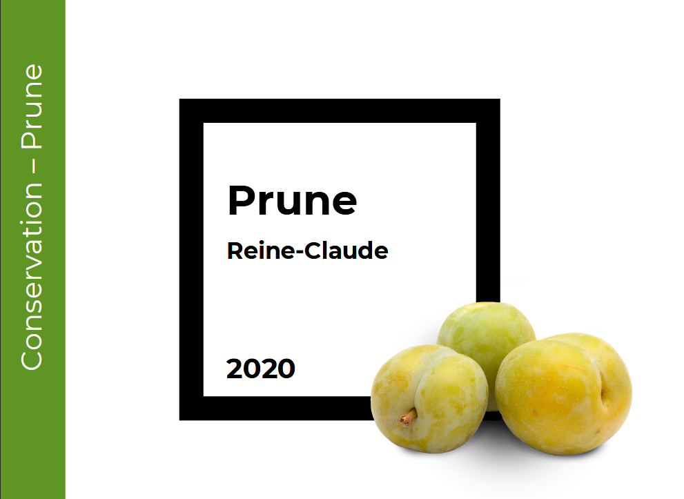 Conservation Prune Reine Claude
