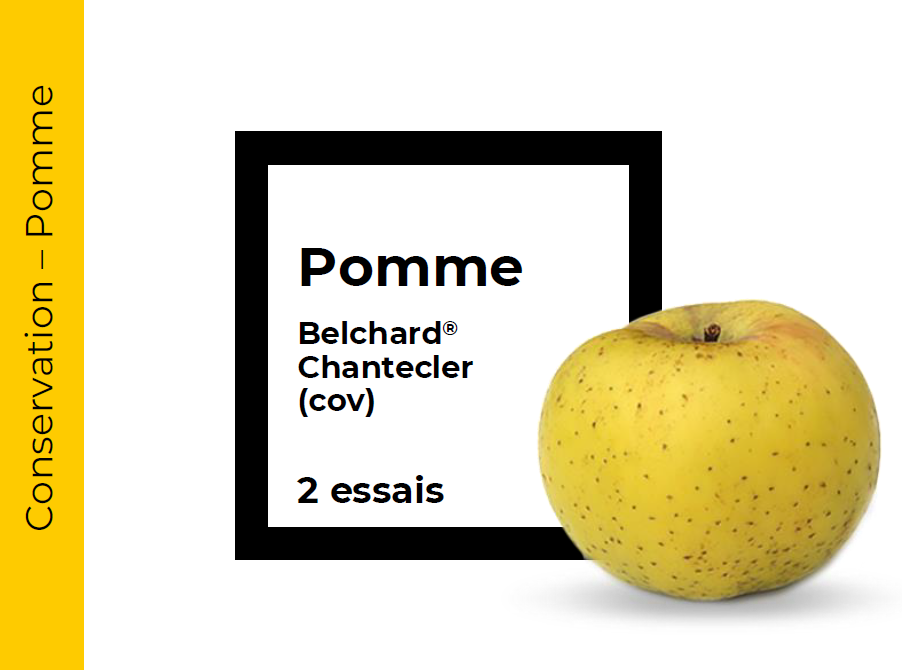 Conservation Pomme Chantecler