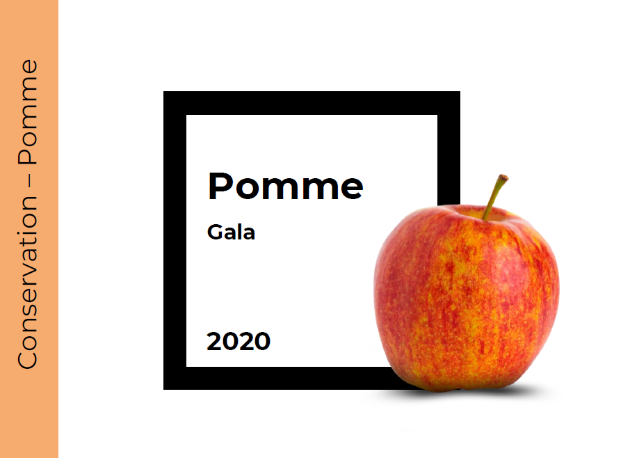 Conservation Pomme Gala