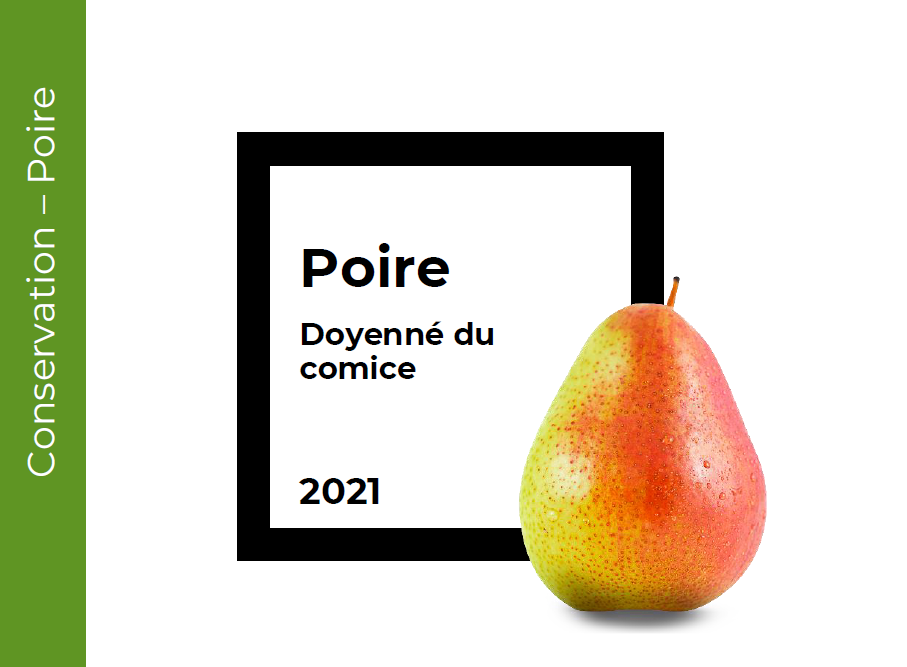 Conservation Poire Comice