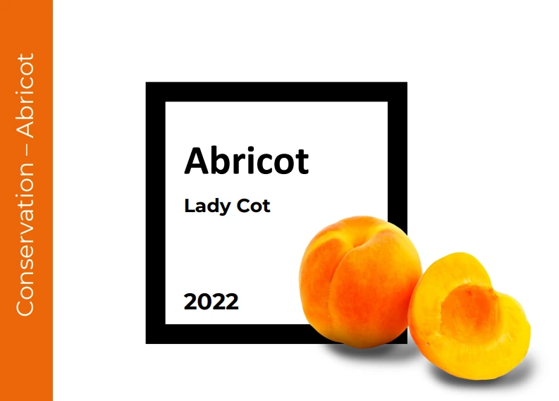 Conservation Abricot