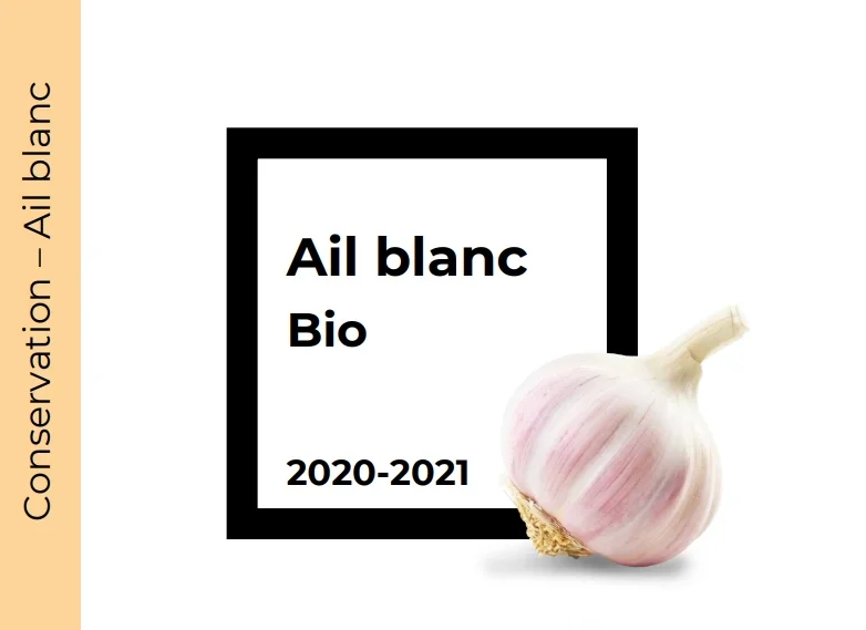 Conservation Ail blanc