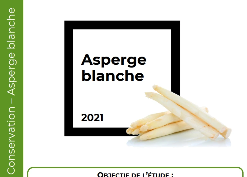 Conservation Asperge blanche