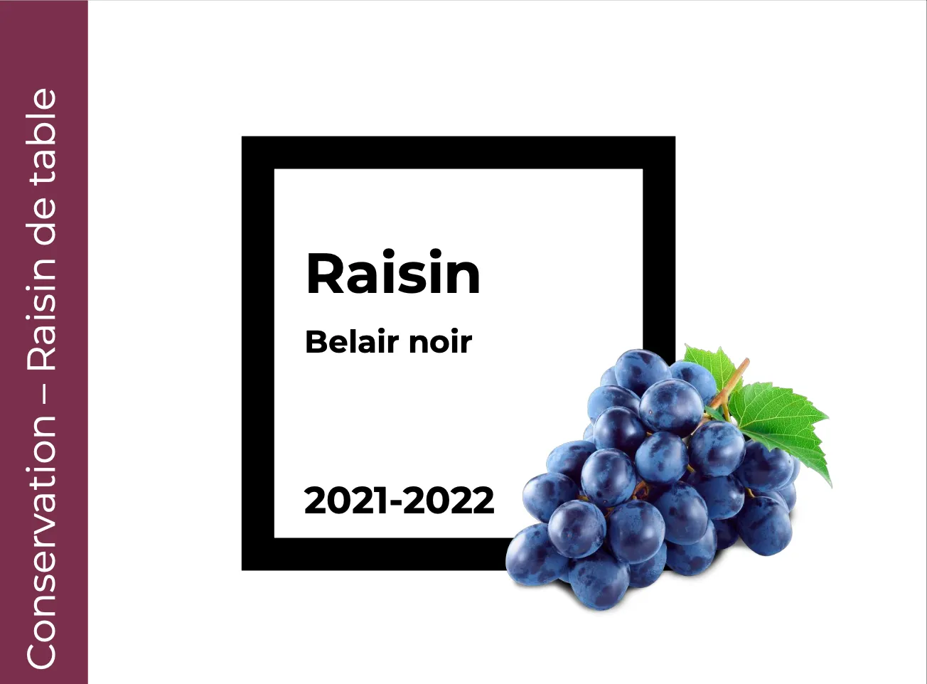 Conservation Raisin Belair