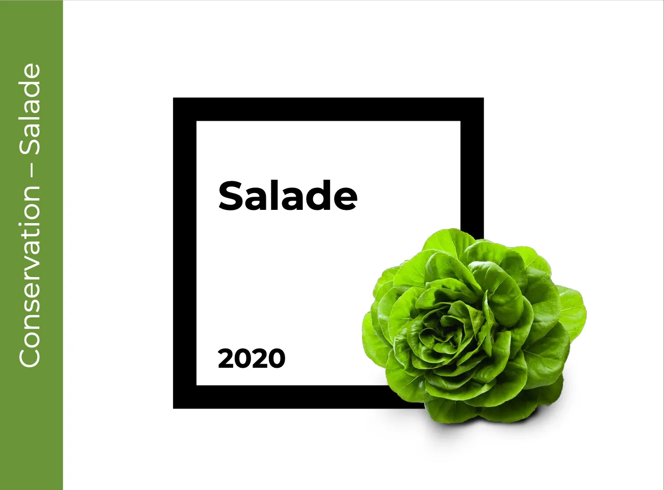 Conservation Salade