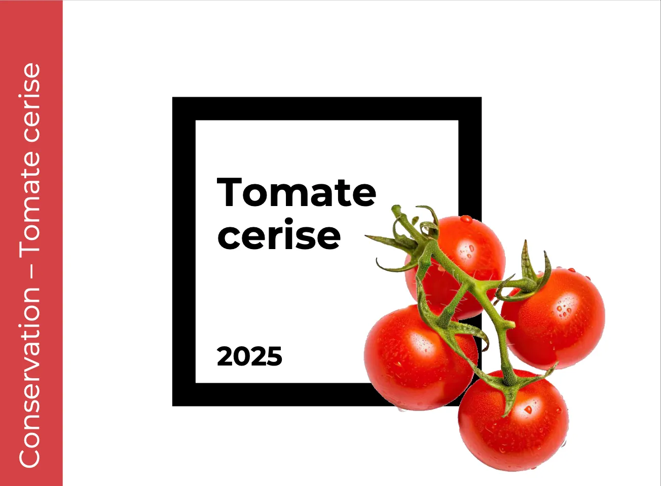 Conservation Tomate cerise