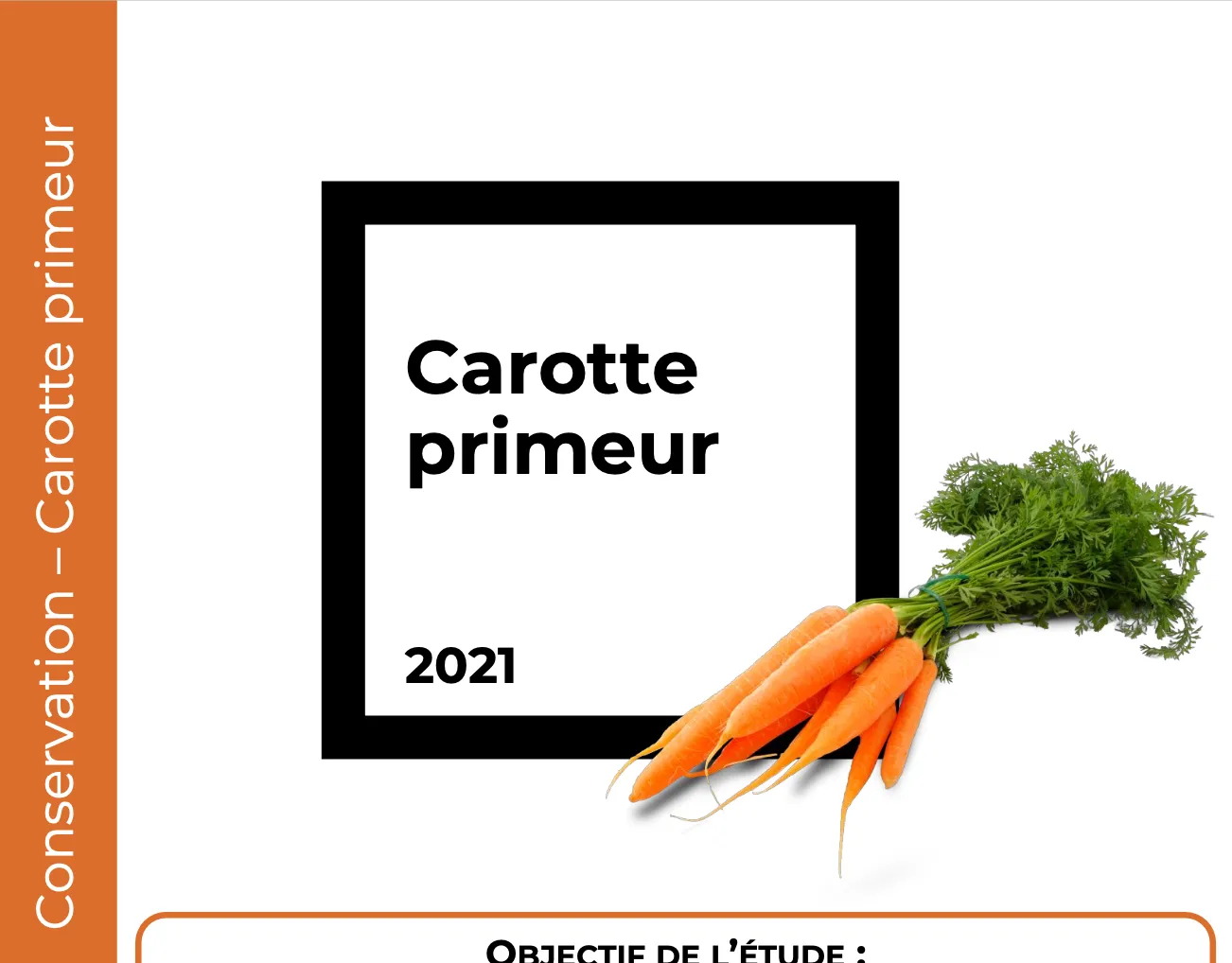 Conservation Carotte primeur