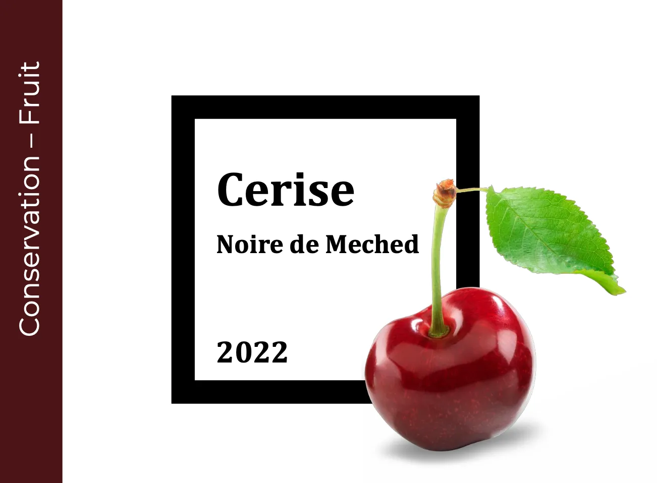 Conservation Cerise