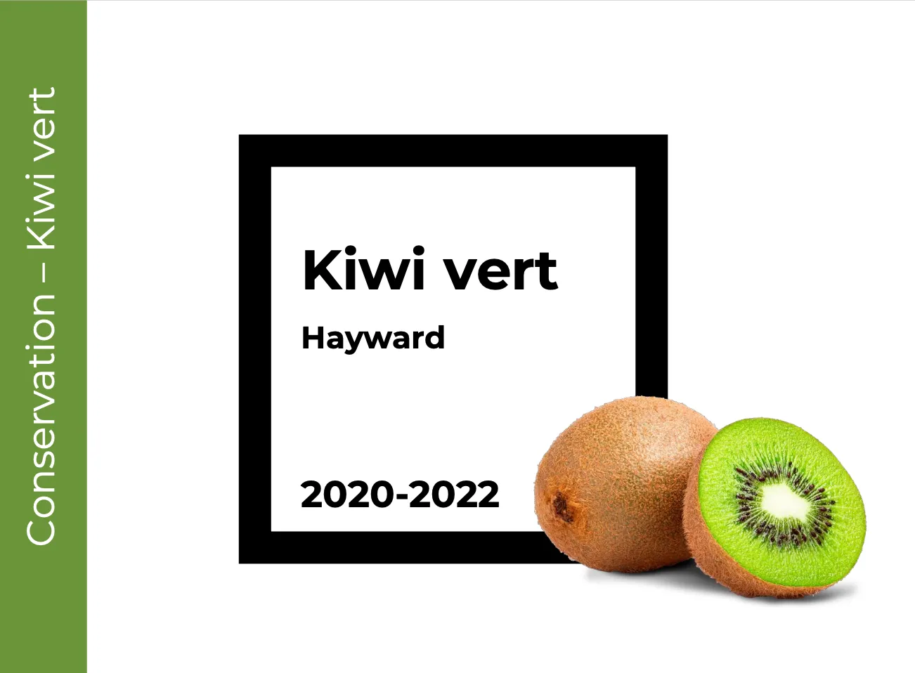 Conservation Kiwi vert
