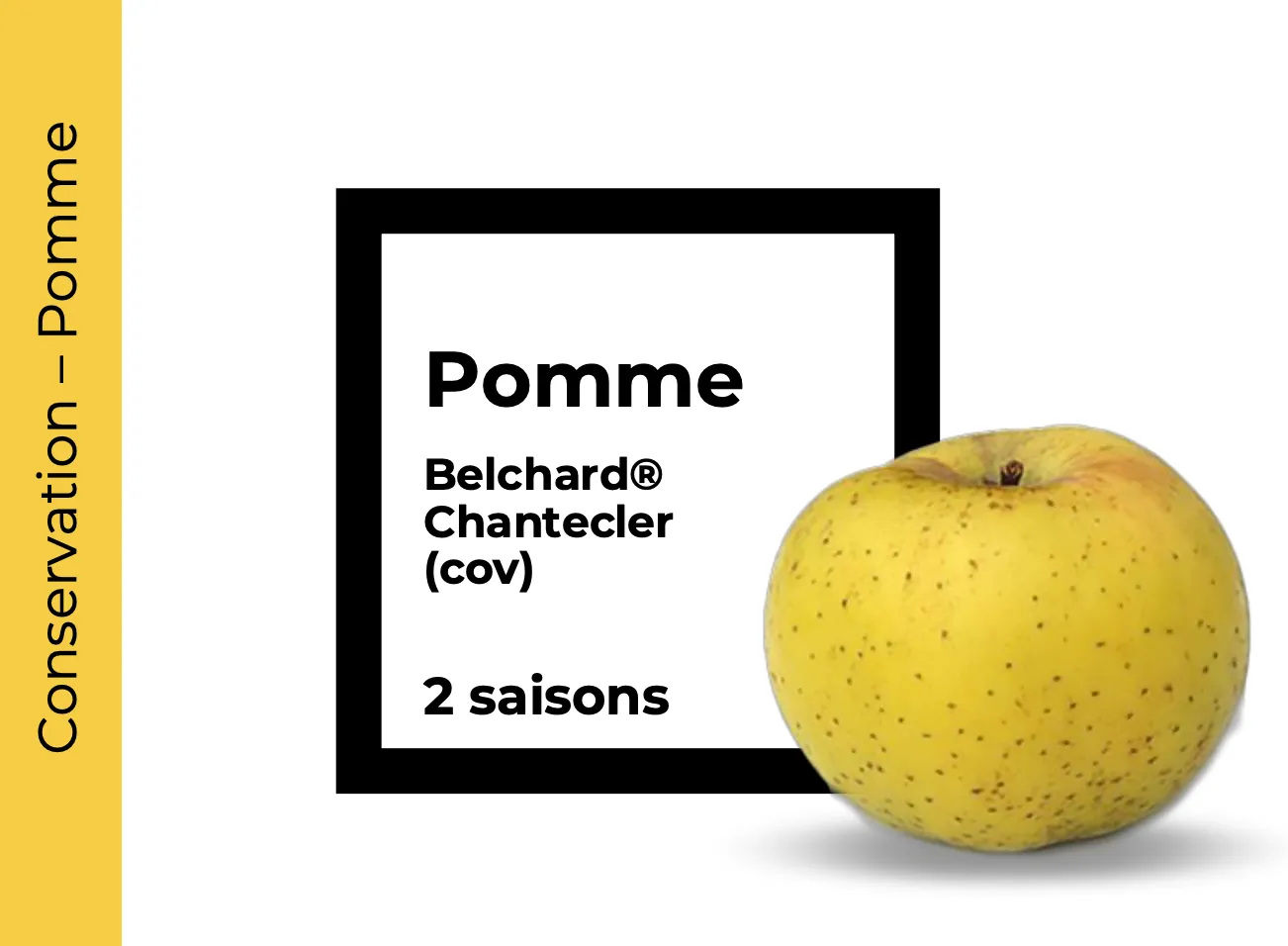 Conservation Pomme Chantecler