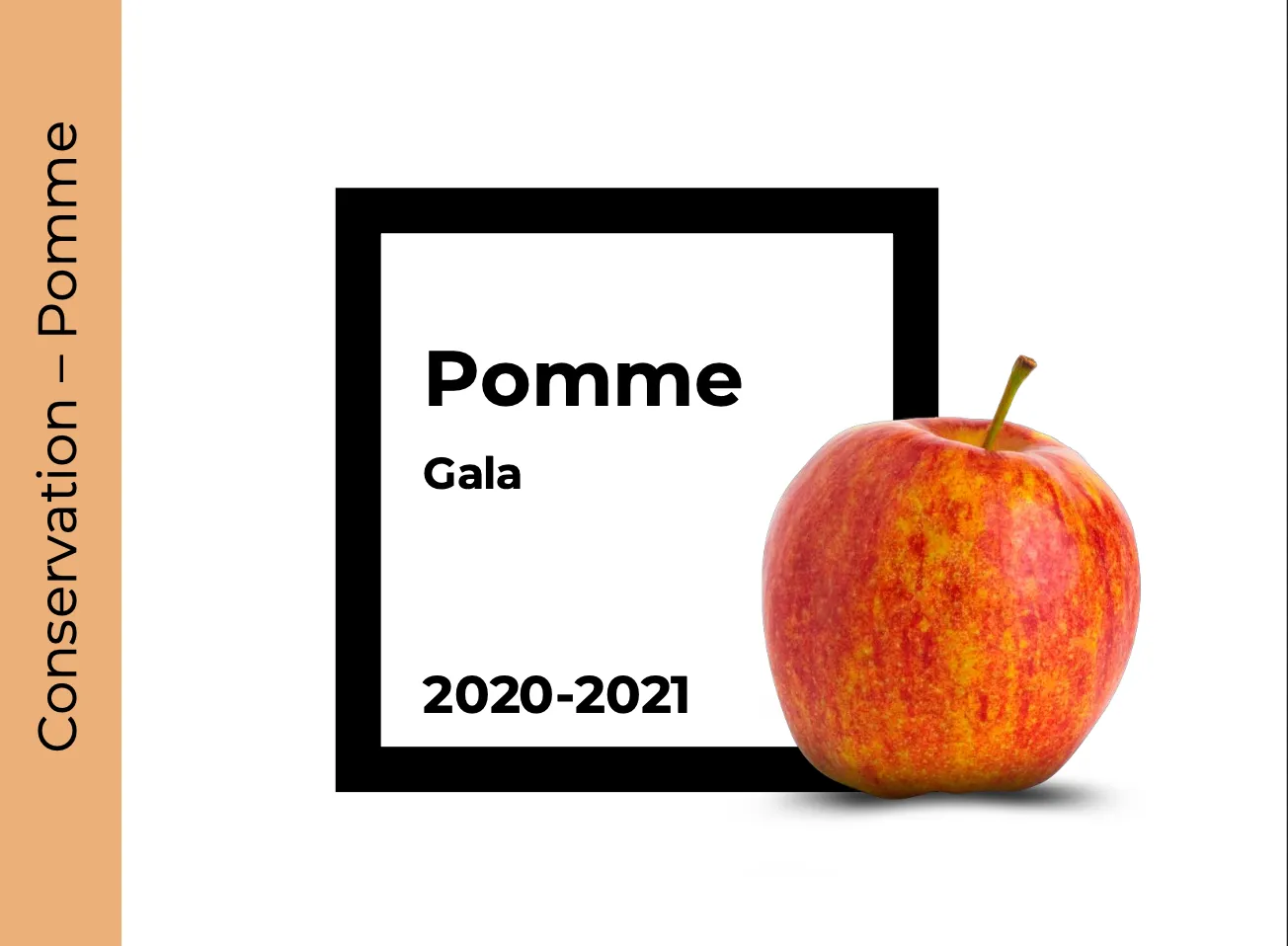 Conservation Pomme Gala