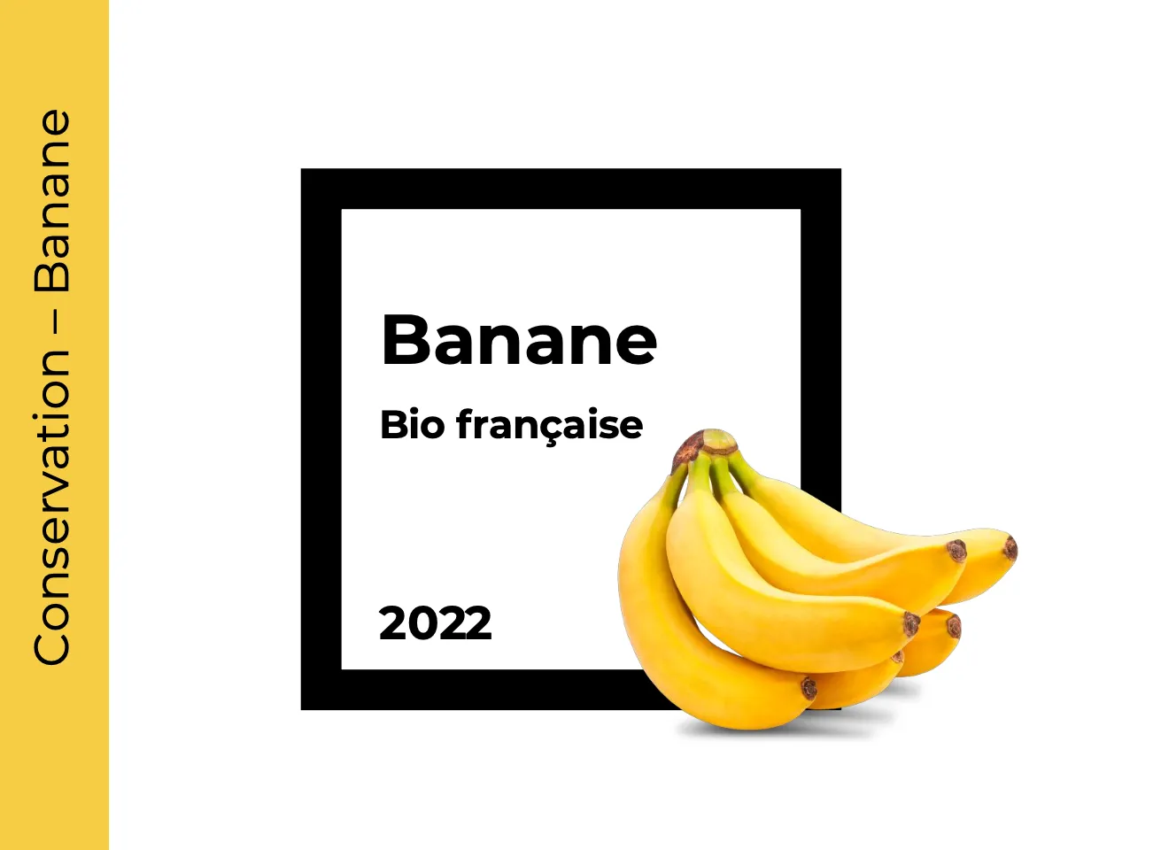 Conservation Banane