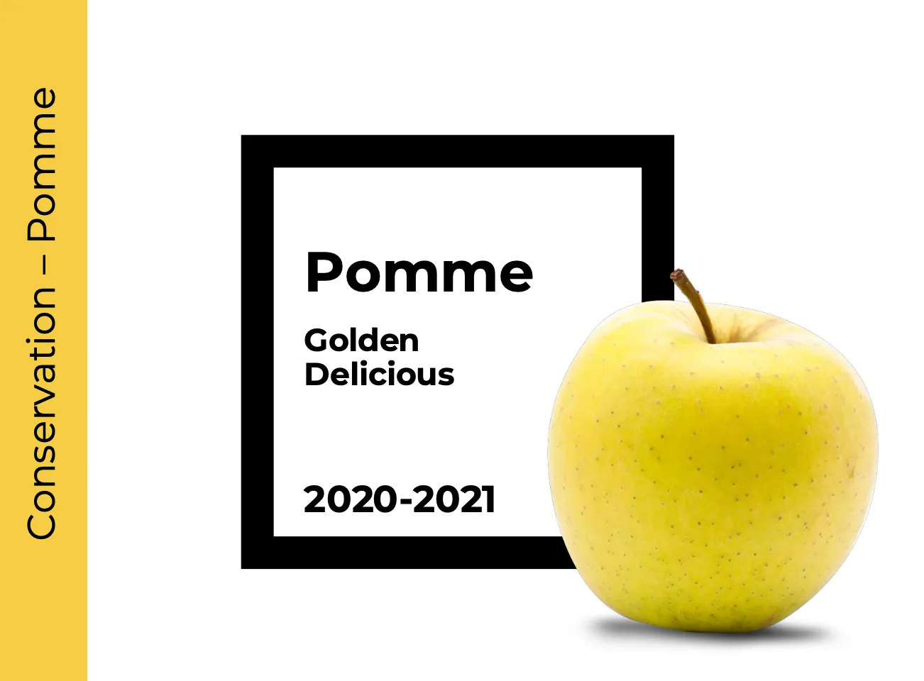 Conservation Pomme Golden