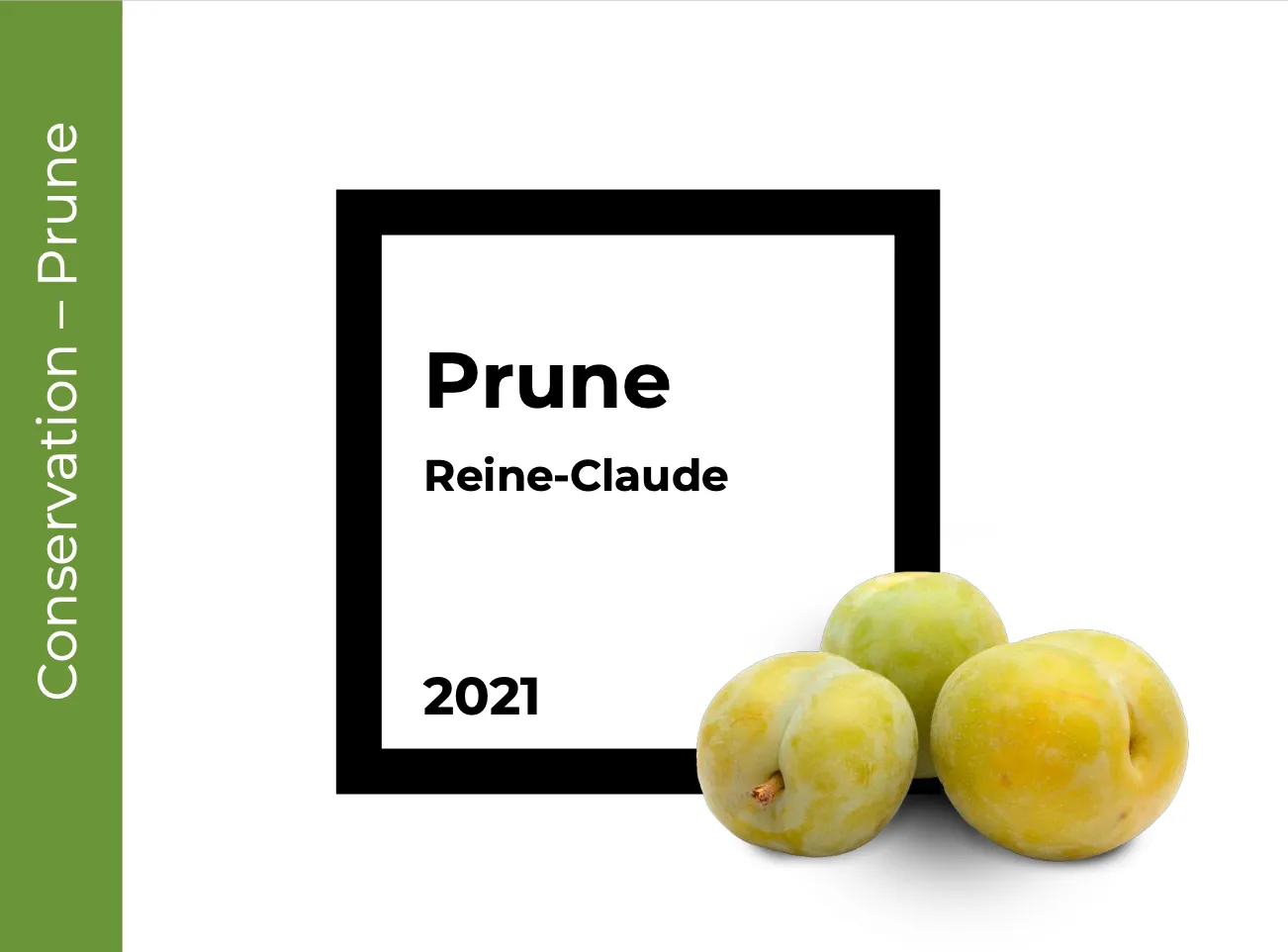 Conservation Prune Reine Claude
