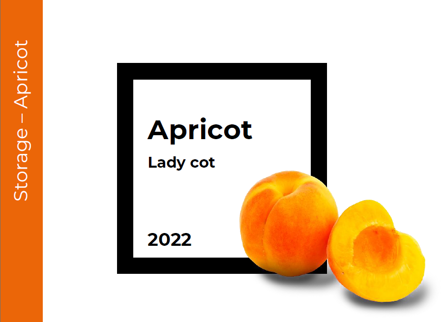 Storage Apricot