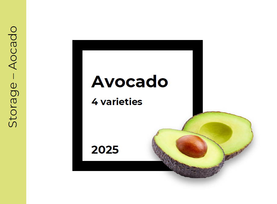 Storage Avocado (4 varieties)