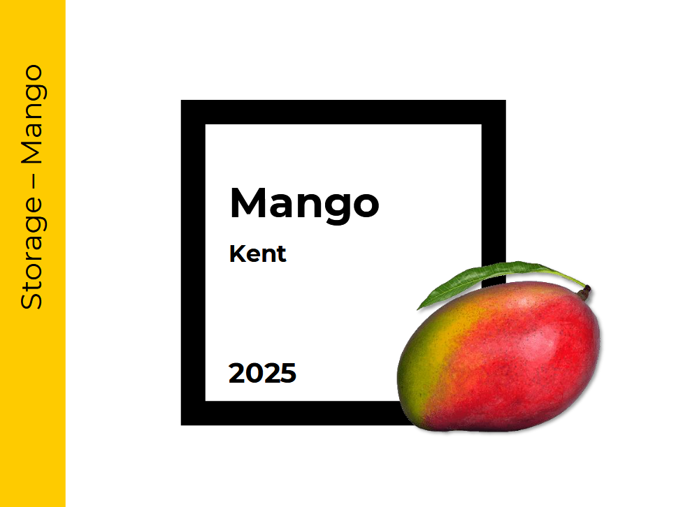 Storage Mango