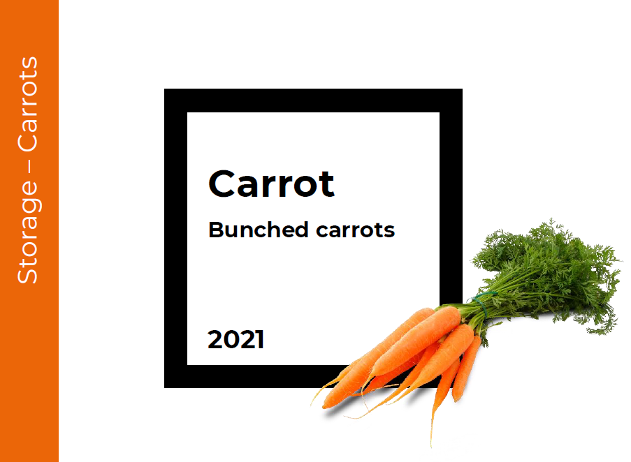 Storage Bunched carrots