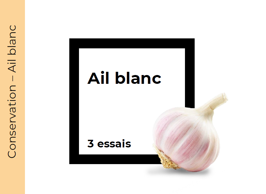 Conservation Ail blanc (3 répétitions)