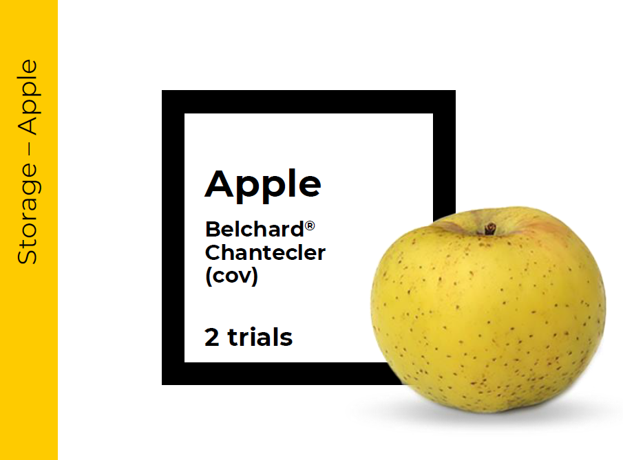 Storage Apple Belchard® Chantecler(cov)