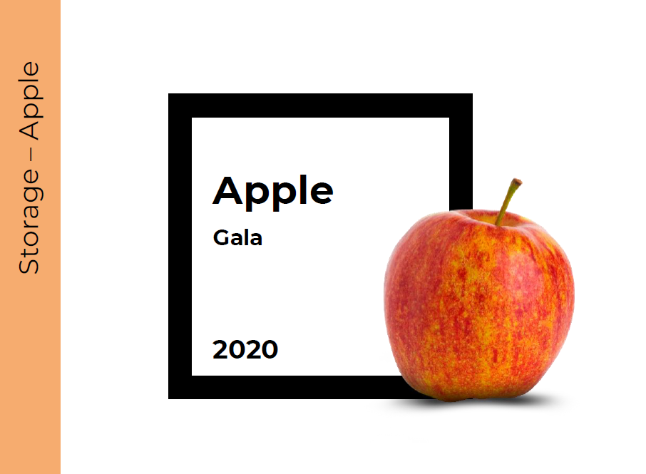 Storage Apple (Gala)