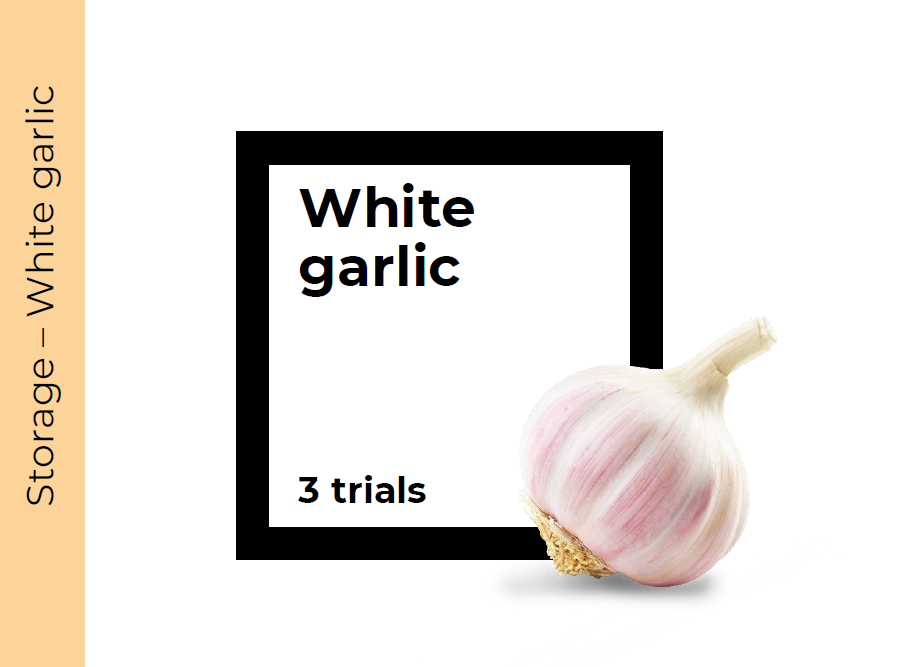 Storage White garlic – 3 trials