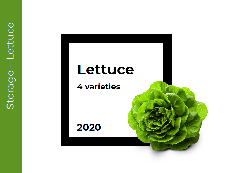 Storage Lettuce