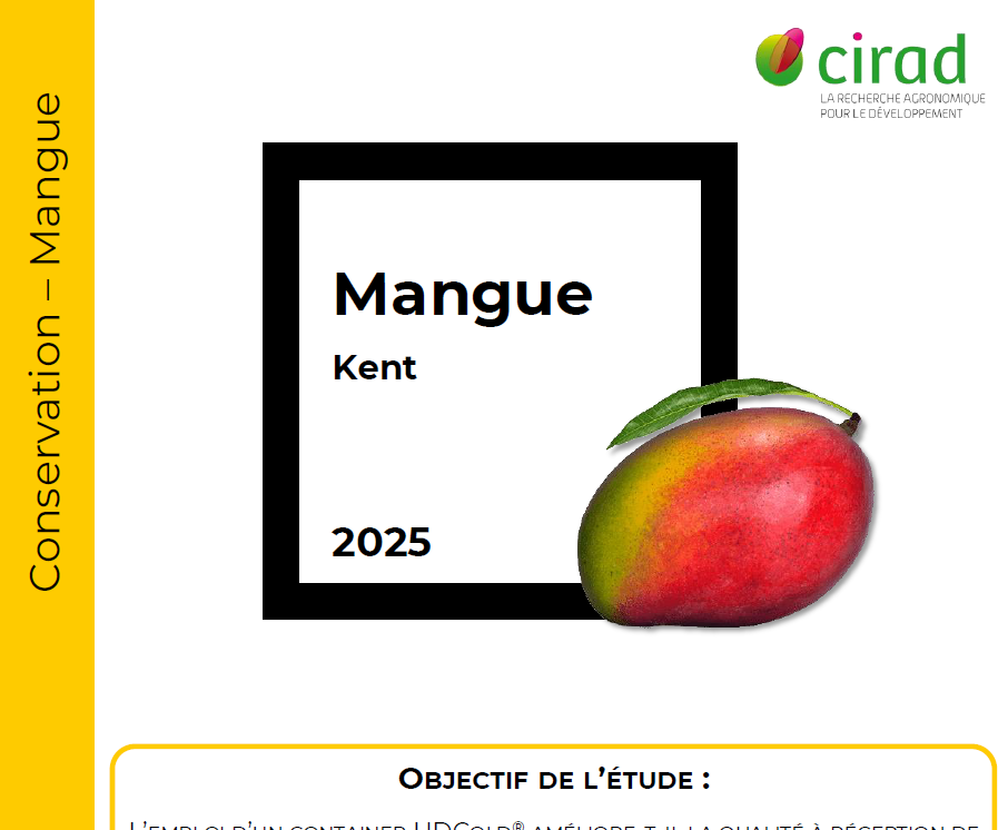 Conservation Mangue