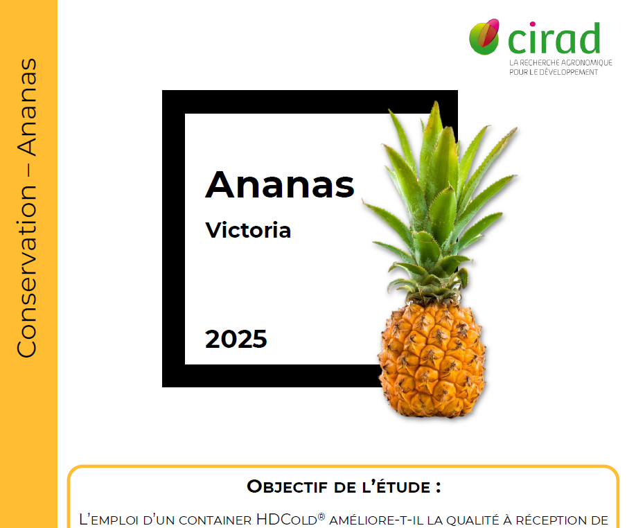 Conservation Ananas