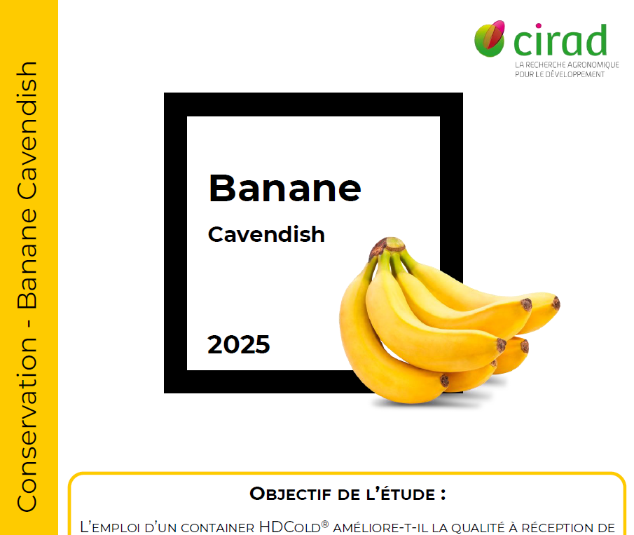 Conservation Banane