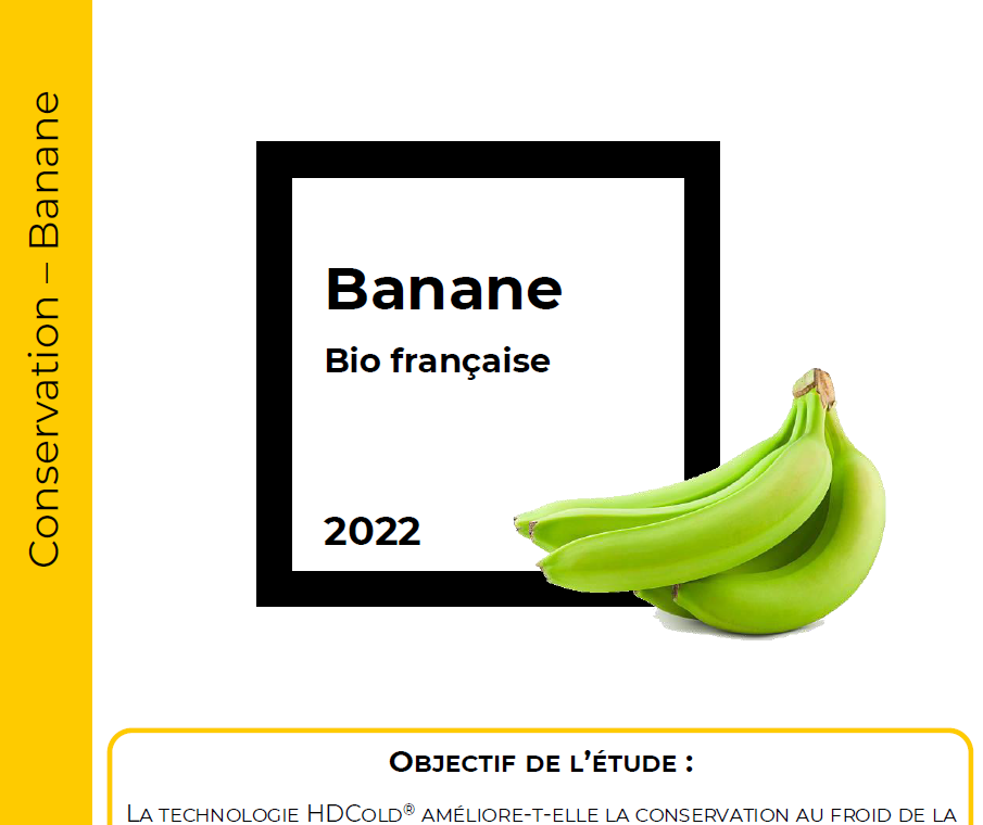 Conservation Banane verte
