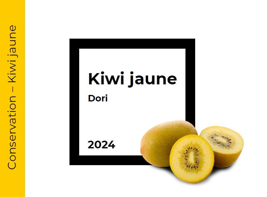 Conservation Kiwi jaune