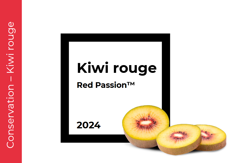 Conservation Kiwi rouge