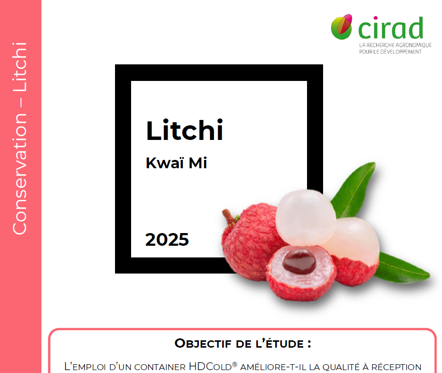 Conservation Litchi