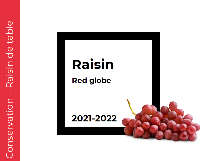 Conservation Raisin Red Globe