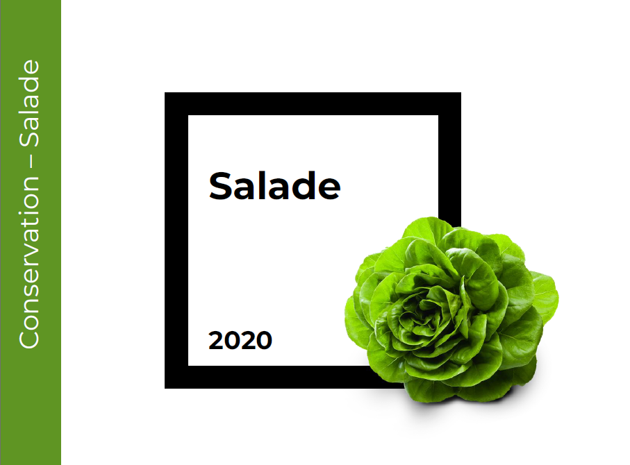 Conservation Salade