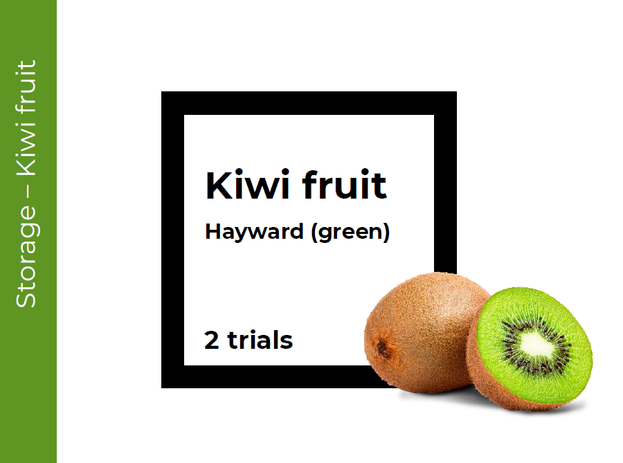 Storage Kiwi fruit (Hayward)