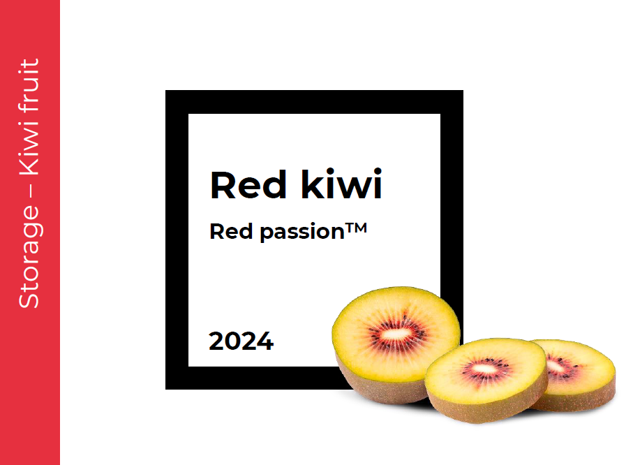 Storage Red Kiwifruit