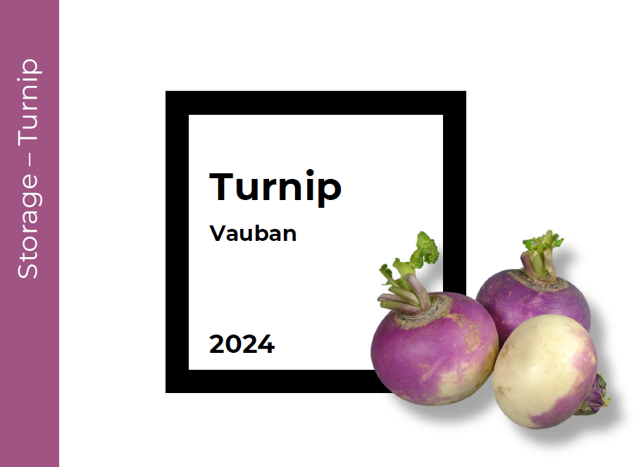 Storage Turnip