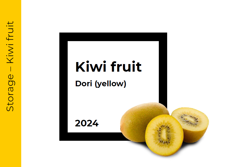 Storage Yellow Kiwi fruit