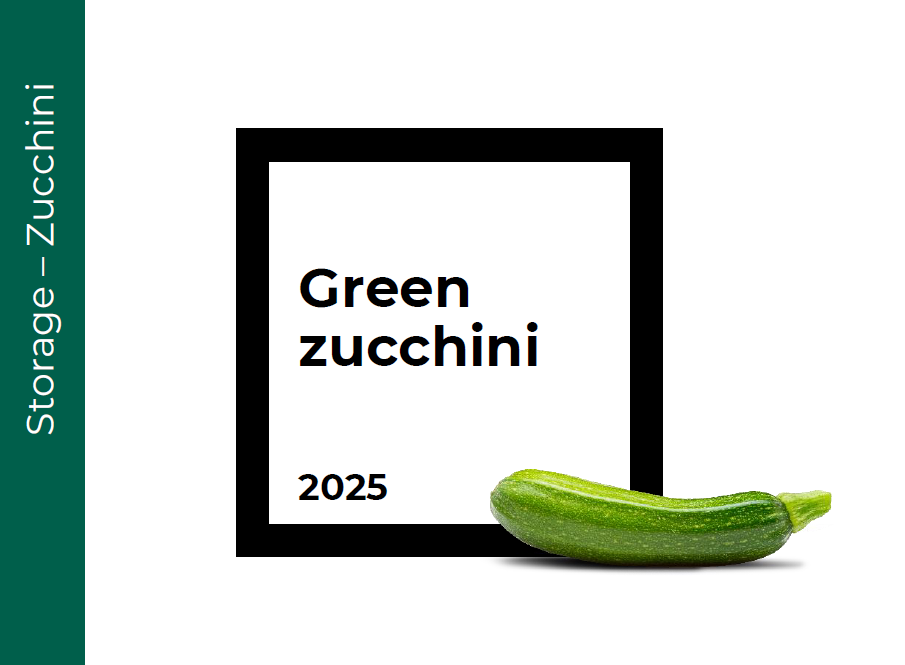 Storage Zucchini (Courgette)