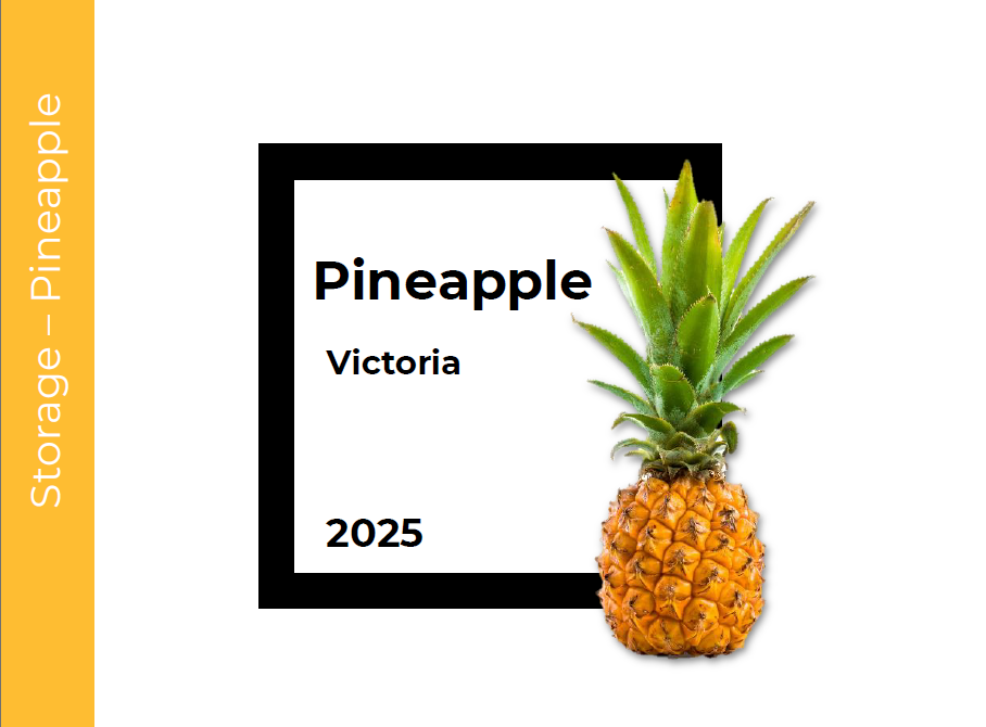 Storage Pineapple (Victoria)