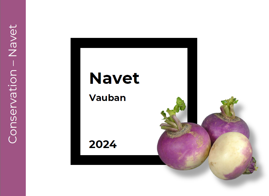 Conservation Navet Vauban